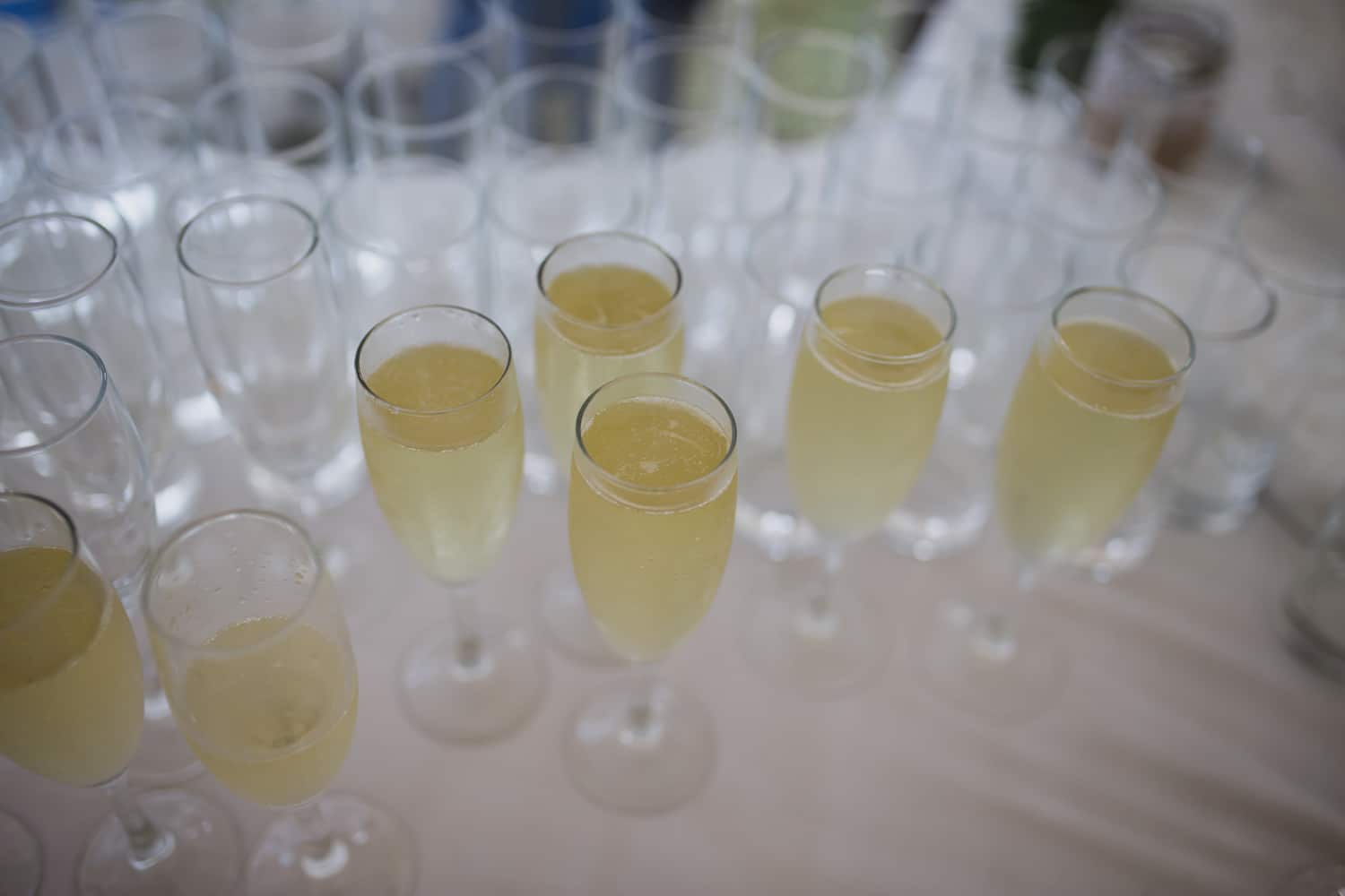 Champagne Glasses Hire Nz at Gregg Burks blog