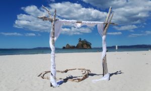 Wedding_Arch_Driftwood - Peninsula Party Hire