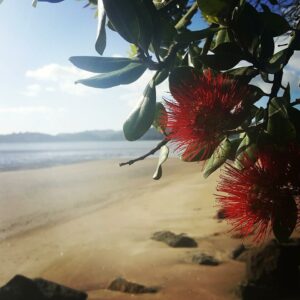 whitianga1 - Peninsula Party Hire