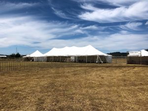 Electron 4 - Peninsula Party Hire