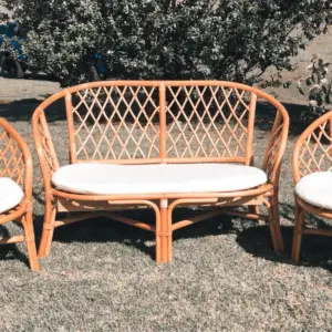 Cane Furniture Set - 4
