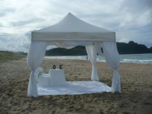 3x3-heavy-Grade-Gazebo - Peninsula Party Hire
